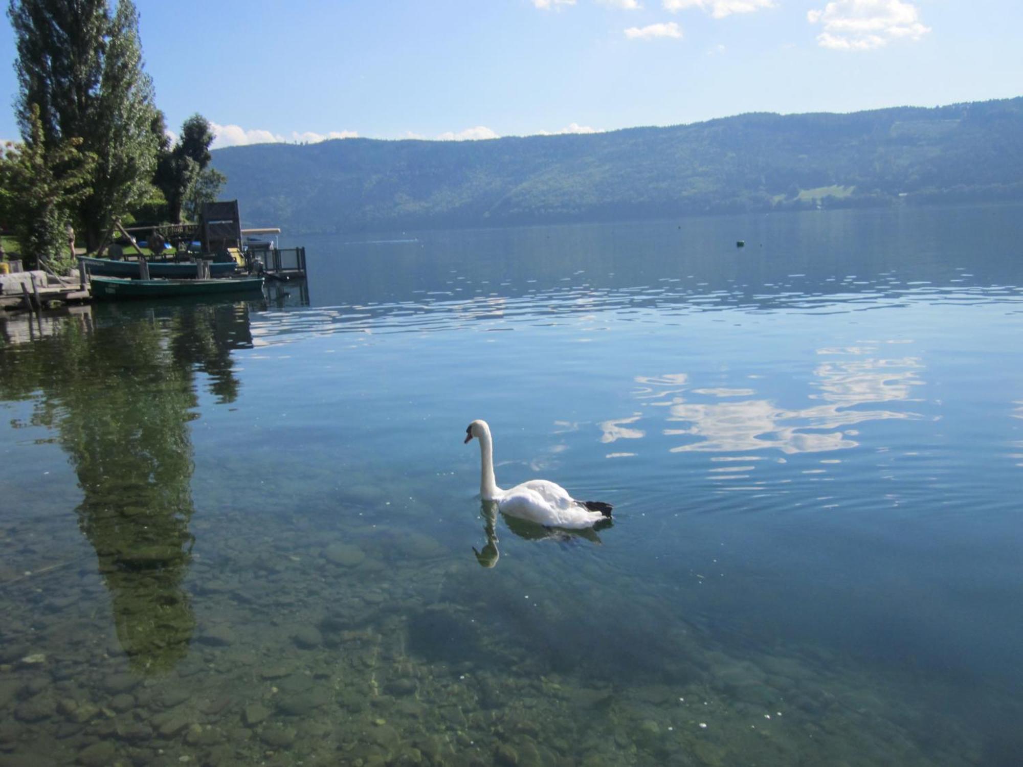 מילסטאט Ferienwohnung Moser Am See מראה חיצוני תמונה